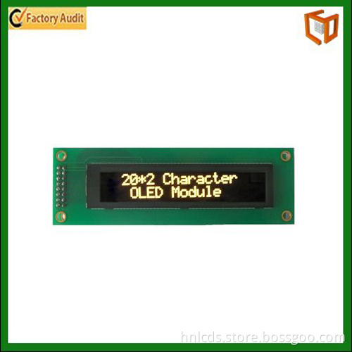 Graphic 8X01 LCD Screen